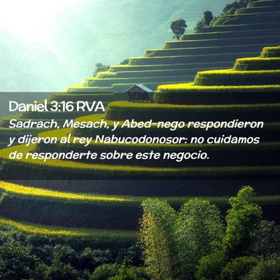 Picture 02 - Daniel 3:16 RVA - Sadrach, Mesach, y Abed-nego respondieron y - Bible Verse Picture