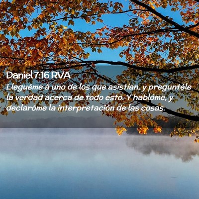 Picture 02 - Daniel 7:16 RVA - Lleguéme á uno de los que asistían, y - Bible Verse Picture
