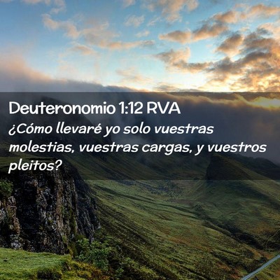Picture 02 - Deuteronomio 1:12 RVA - ¿Cómo llevaré yo solo vuestras molestias, - Bible Verse Picture
