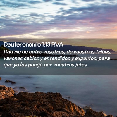 Picture 02 - Deuteronomio 1:13 RVA - Dad me de entre vosotros, de vuestras tribus, - Bible Verse Picture