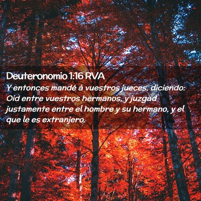 Picture 02 - Deuteronomio 1:16 RVA - Y entonces mandé á vuestros jueces, diciendo: - Bible Verse Picture