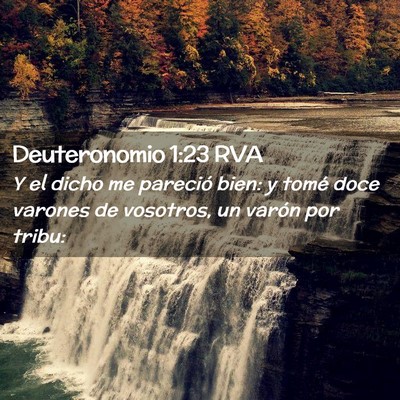 Picture 02 - Deuteronomio 1:23 RVA - Y el dicho me pareció bien: y tomé doce varones - Bible Verse Picture