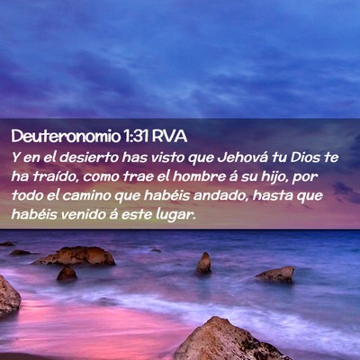 Picture 02 - Deuteronomio 1:31 RVA - Y en el desierto has visto que Jehová tu Dios te - Bible Verse Picture