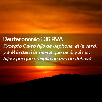Picture 02 - Deuteronomio 1:36 RVA - Excepto Caleb hijo de Jephone: él la verá, y á - Bible Verse Picture