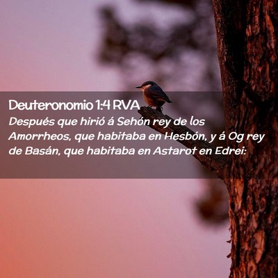 Picture 02 - Deuteronomio 1:4 RVA - Después que hirió á Sehón rey de los - Bible Verse Picture