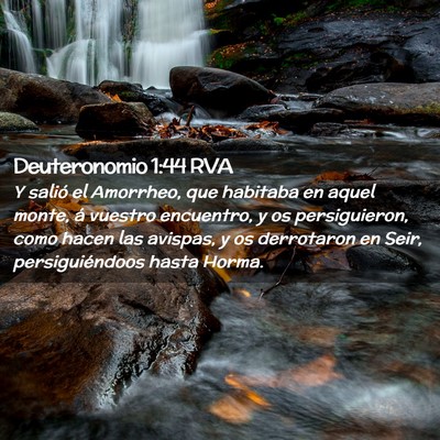 Picture 02 - Deuteronomio 1:44 RVA - Y salió el Amorrheo, que habitaba en aquel - Bible Verse Picture