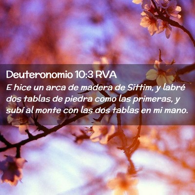 Picture 02 - Deuteronomio 10:3 RVA - E hice un arca de madera de Sittim, y labré dos - Bible Verse Picture