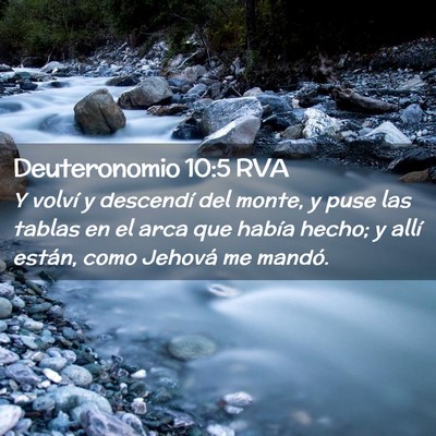 Picture 02 - Deuteronomio 10:5 RVA - Y volví y descendí del monte, y puse las tablas - Bible Verse Picture