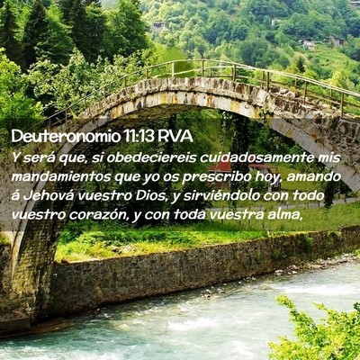 Picture 02 - Deuteronomio 11:13 RVA - Y será que, si obedeciereis cuidadosamente mis - Bible Verse Picture