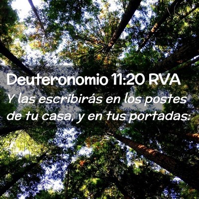 Picture 02 - Deuteronomio 11:20 RVA - Y las escribirás en los postes de tu casa, y en - Bible Verse Picture