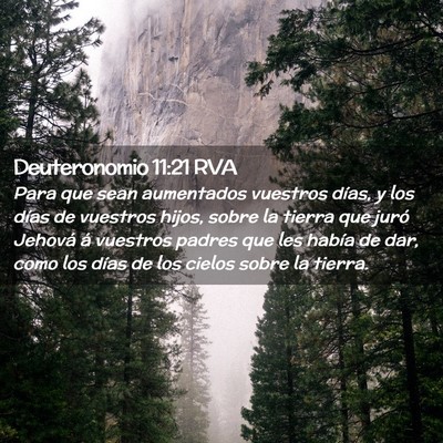 Picture 02 - Deuteronomio 11:21 RVA - Para que sean aumentados vuestros días, y los - Bible Verse Picture
