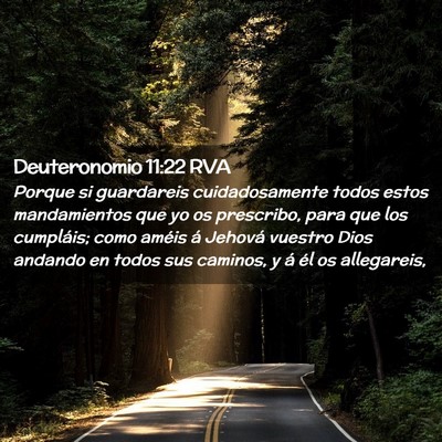 Picture 02 - Deuteronomio 11:22 RVA - Porque si guardareis cuidadosamente todos estos - Bible Verse Picture