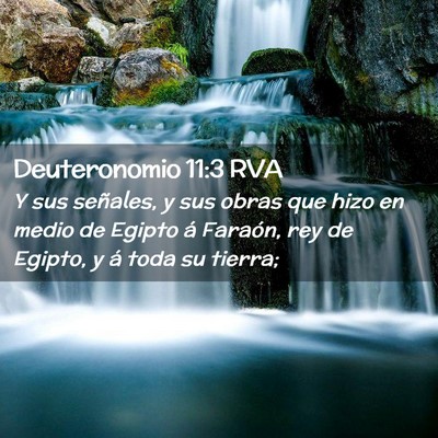 Picture 02 - Deuteronomio 11:3 RVA - Y sus señales, y sus obras que hizo en medio de - Bible Verse Picture