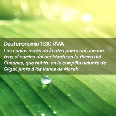 Picture 02 - Deuteronomio 11:30 RVA - Los cuales están de la otra parte del Jordán, - Bible Verse Picture