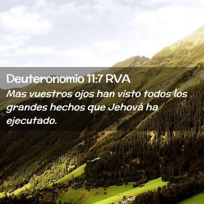 Picture 02 - Deuteronomio 11:7 RVA - Mas vuestros ojos han visto todos los grandes - Bible Verse Picture
