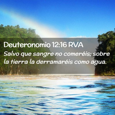 Picture 02 - Deuteronomio 12:16 RVA - Salvo que sangre no comeréis; sobre la tierra la - Bible Verse Picture