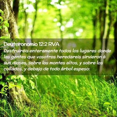 Picture 02 - Deuteronomio 12:2 RVA - Destruiréis enteramente todos los lugares donde - Bible Verse Picture