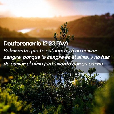 Picture 02 - Deuteronomio 12:23 RVA - Solamente que te esfuerces á no comer sangre: - Bible Verse Picture
