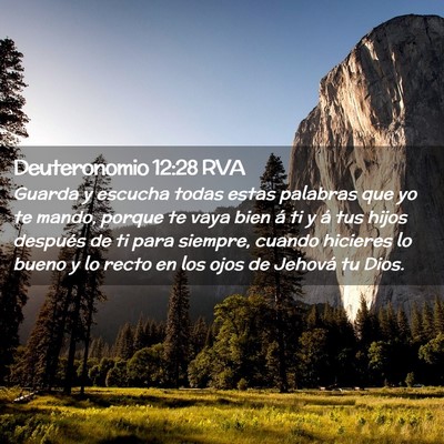 Picture 02 - Deuteronomio 12:28 RVA - Guarda y escucha todas estas palabras que yo te - Bible Verse Picture
