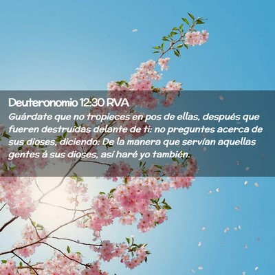Picture 02 - Deuteronomio 12:30 RVA - Guárdate que no tropieces en pos de ellas, - Bible Verse Picture