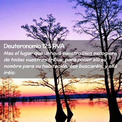 Picture 02 - Deuteronomio 12:5 RVA - Mas el lugar que Jehová vuestro Dios escogiere - Bible Verse Picture