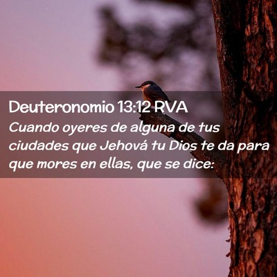 Picture 02 - Deuteronomio 13:12 RVA - Cuando oyeres de alguna de tus ciudades que - Bible Verse Picture