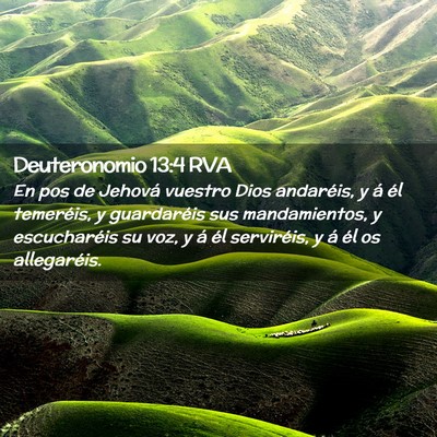 Picture 02 - Deuteronomio 13:4 RVA - En pos de Jehová vuestro Dios andaréis, y á - Bible Verse Picture