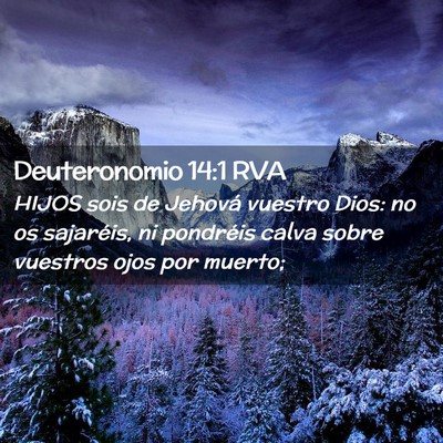 Picture 02 - Deuteronomio 14:1 RVA - HIJOS sois de Jehová vuestro Dios: no os - Bible Verse Picture