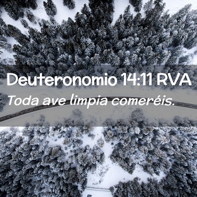 Picture 02 - Deuteronomio 14:11 RVA - Toda ave limpia - Bible Verse Picture