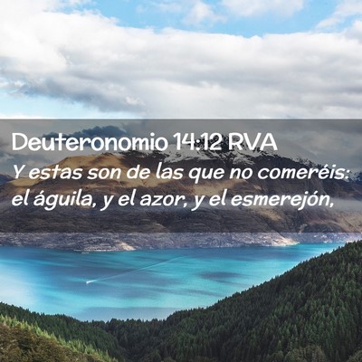 Picture 02 - Deuteronomio 14:12 RVA - Y estas son de las que no comeréis: el águila, - Bible Verse Picture