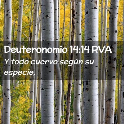 Picture 02 - Deuteronomio 14:14 RVA - Y todo cuervo según su - Bible Verse Picture