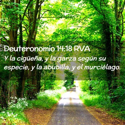Picture 02 - Deuteronomio 14:18 RVA - Y la cigüeña, y la garza según su especie, y - Bible Verse Picture
