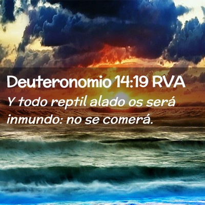 Picture 02 - Deuteronomio 14:19 RVA - Y todo reptil alado os será inmundo: no se - Bible Verse Picture