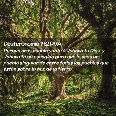 Picture 02 - Deuteronomio 14:2 RVA - Porque eres pueblo santo á Jehová tu Dios, y - Bible Verse Picture