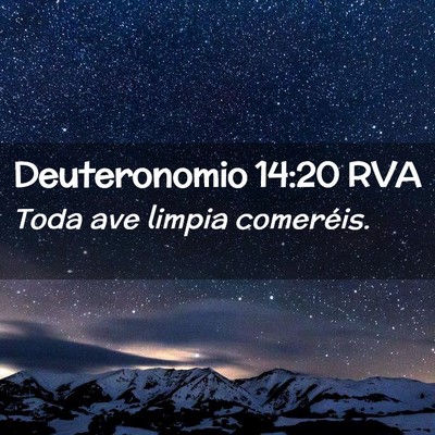 Picture 02 - Deuteronomio 14:20 RVA - Toda ave limpia - Bible Verse Picture