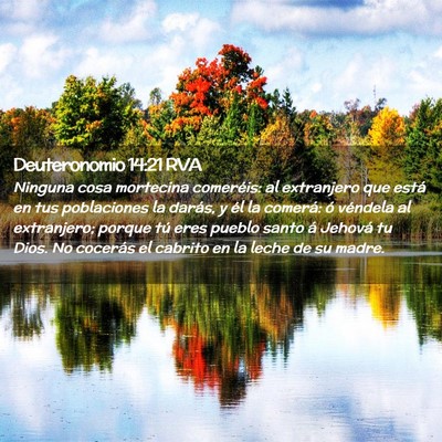Picture 02 - Deuteronomio 14:21 RVA - Ninguna cosa mortecina comeréis: al extranjero - Bible Verse Picture