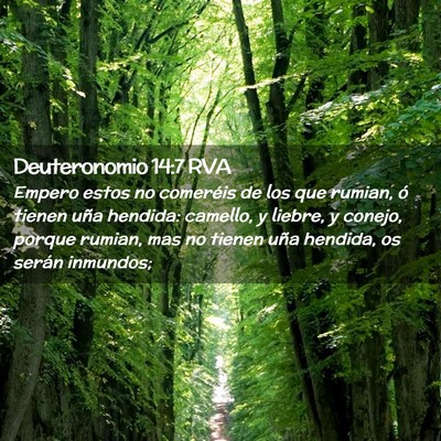 Picture 02 - Deuteronomio 14:7 RVA - Empero estos no comeréis de los que rumian, ó - Bible Verse Picture