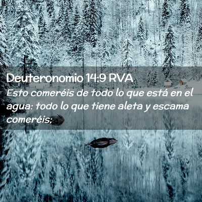 Picture 02 - Deuteronomio 14:9 RVA - Esto comeréis de todo lo que está en el agua: - Bible Verse Picture