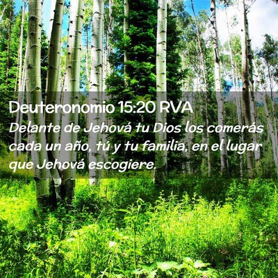 Picture 02 - Deuteronomio 15:20 RVA - Delante de Jehová tu Dios los comerás cada un - Bible Verse Picture