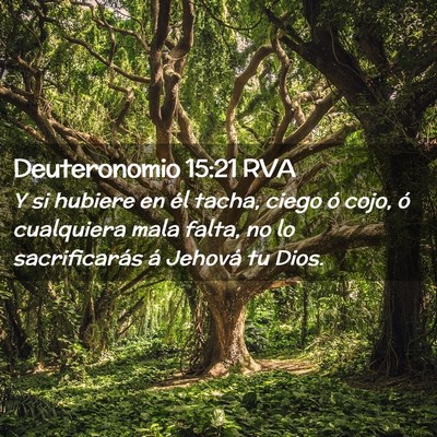 Picture 02 - Deuteronomio 15:21 RVA - Y si hubiere en él tacha, ciego ó cojo, ó - Bible Verse Picture