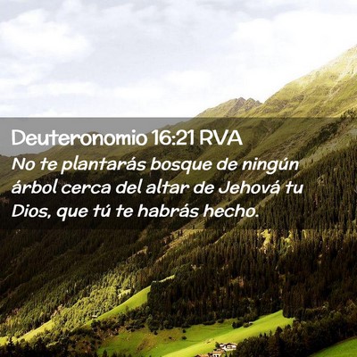 Picture 02 - Deuteronomio 16:21 RVA - No te plantarás bosque de ningún árbol cerca - Bible Verse Picture
