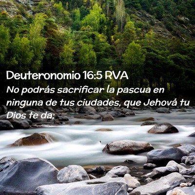Picture 02 - Deuteronomio 16:5 RVA - No podrás sacrificar la pascua en ninguna de tus - Bible Verse Picture