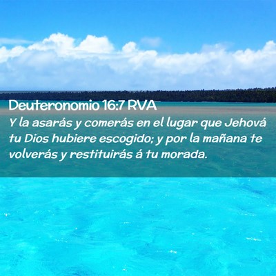 Picture 02 - Deuteronomio 16:7 RVA - Y la asarás y comerás en el lugar que Jehová - Bible Verse Picture