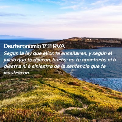 Picture 02 - Deuteronomio 17:11 RVA - Según la ley que ellos te enseñaren, y según - Bible Verse Picture