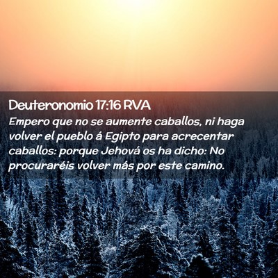 Picture 02 - Deuteronomio 17:16 RVA - Empero que no se aumente caballos, ni haga volver - Bible Verse Picture