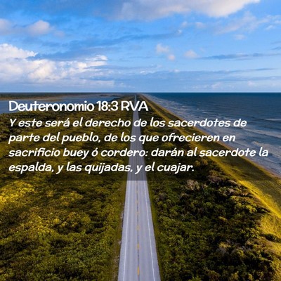 Picture 02 - Deuteronomio 18:3 RVA - Y este será el derecho de los sacerdotes de - Bible Verse Picture