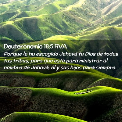 Picture 02 - Deuteronomio 18:5 RVA - Porque le ha escogido Jehová tu Dios de todas - Bible Verse Picture