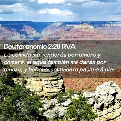 Picture 02 - Deuteronomio 2:28 RVA - La comida me venderás por dinero y comeré: el - Bible Verse Picture