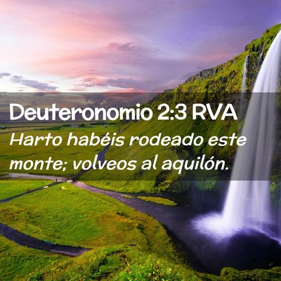 Picture 02 - Deuteronomio 2:3 RVA - Harto habéis rodeado este monte; volveos al - Bible Verse Picture