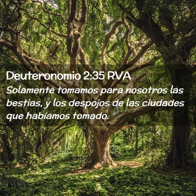Picture 02 - Deuteronomio 2:35 RVA - Solamente tomamos para nosotros las bestias, y - Bible Verse Picture